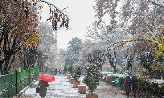 تهران سفیدپوش