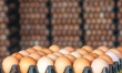 صادرات ۱۱۰ هزار تن تخم مرغ به ۵ کشور