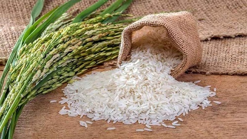 انتقاد از نوري قزلجه بالا گرفت
